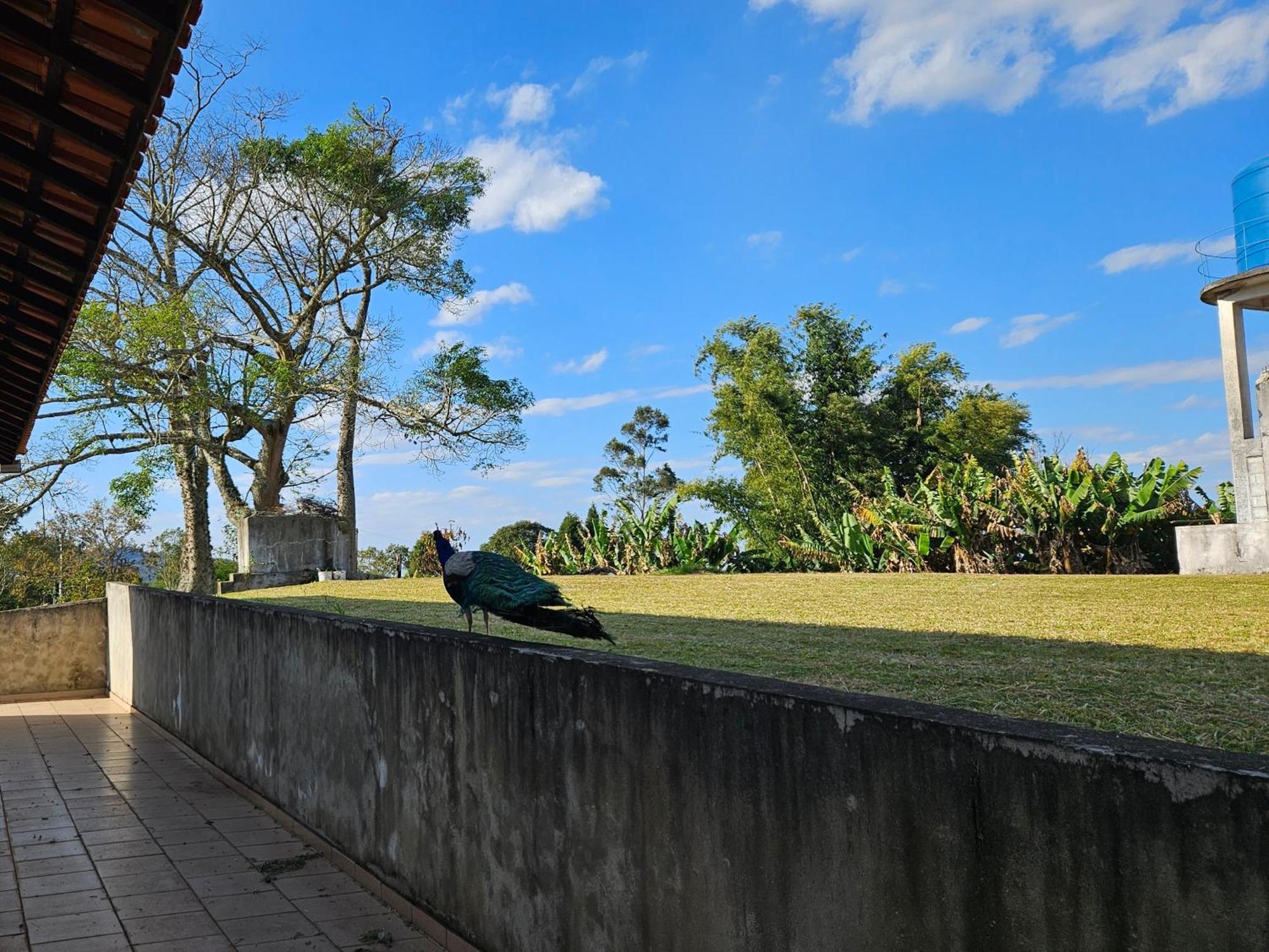 Casa de férias Sitio Santa Filomena - Sao Roque *